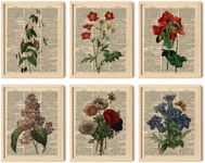 97 Decor Floral Vintage Wall Art Print - Antique Botanical Wall Art, Flower Book Wall Decor, Upcycled Dictionary Flower Poster, Wildflower Pictures for Bedroom Home Decorations (8x10 Unframed)