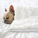 BENRON Medium Dog Blanket for Couch Bed Crate, Cozy Reversible Fleece Dog Blanket, Washable Fluffy Throw Blankets 30x40 Inches Cream White