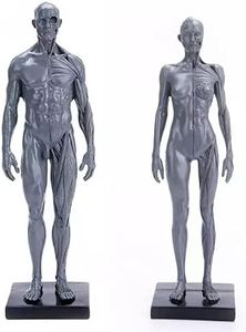 Male&Femal