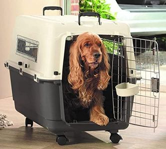 KittuPet f