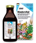 SALUS Kindervital Liquid Multivitamin for Kids (500ml) - Children’’s Liquid Multivitamin Promotes Health and Well-Being - Multivitamin for Kids Liquid Formula for Easy Administration - Kids Multivitamins Liquid.