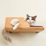 LIORCE Cat Wall Shelves, Creative Design Cat Shelf with Peephole, 19 x 10 inch Cat Wall Furniture with Comfortable Cat Pad, Cat Perch for Sleeping, Playing, and Scratching.