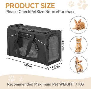 Petsfit Airline Approved Cat Carrier – Foldable, Large, Black, for Cats & Small Dogs