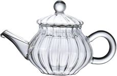 Mozacona Mini Tea Pot, Glass Teapot Small Tea Kettle for One person use,100ml