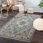 Lahome Floral Medallion Area Rug - 3x5 Distressed Entry Throw Rug Turkish Indoor Accent Rug Non-Slip Washable Low-Pile Carpet for Entrance Living Room Bedroom Dining Table, Sky/Baby Blue