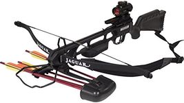 SAS Jaguar 175lbs Recurve Hunting C