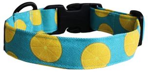 Lana Paws Citrus Punch Skin-Friendly, Lightweight & Durable Fabric Dog Collar, Medium