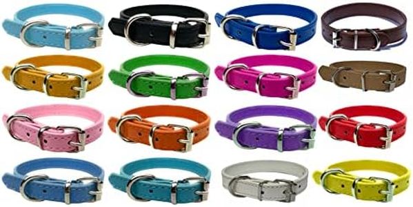 Vibrant Leather Dog Collar for Puppy, Cat, Kitten, Dogs - For Small, Medium & Large Pet Collars (Small (27cm - 33cm Neck), Purple)