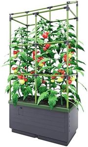 BioGreen R