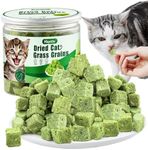 50g Cat Grass Teething Treat, Delicious Cat Grass Teething Snack Edible Cat Chew Toy for Teeth Cleaning and Hairball Removal in Cat