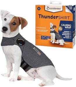 ThunderShi