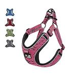 Suredoo Adjustable Dog Harness with Front Clip, No Pull Soft Mesh Padded Reflective Breathable Pet Vest Harness for Small Medium Large Dogs (M, Pink)