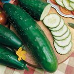 Park Seed Park's Select Slicer Hybrid Cucumber Seeds, Pack of 30 Seeds