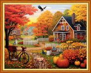 Dimensean Stamped Cross Stitch Kits Full Range of Embroidery Patterns Starter Kits for Beginners Adult or Kids DIY Cross Stitches Needlepoint Kits 11CT-Beautiful Home 16x20 inch