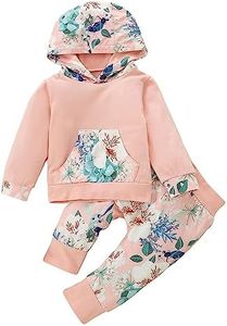 Baby Girl Clothes Infant Baby Girls Outfits Toddler Long Sleeve Hoodie Top + Floral Pants Sweatsuit Clothing Set 2-3 T