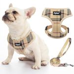 PUPTECK Dog Harness Small Dog Soft Mesh Pet Puppy Cat Comfort Padded Vest No Pull Harnesses and Lead Set