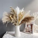 72Pcs Natural Dried Pampas Grass Bo