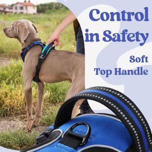 rabbitgoo Medium Dog Harness – No Pull, Adjustable, Reflective, Blue