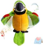 Speaking Parrot Record Repeats Electronic Bird Talking Pet Stuffed Animal Waving Wings Plush Toy Interactive Animated Kids Gift, 23cm (Green)