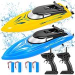 2 Pack RC Boat Remote Control Boats