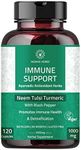 Immune Support Capsules - Immunity 