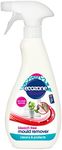 Mould Remover Spray 500ml by Ecozon
