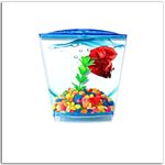 Single Betta Fish Tank kit for Aquarium - (Stylish Portable Table Aquarium Betta House) – with Artificial Plant Transparent Blue Color - (4 x 3 x 6 inch)