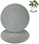 2 Pack of 8 Inch Plant Saucers for Indoors, Diatomaceous Earth Plant Trays for Indoors No Holes, Plant Trays for Pots, Stone Quick Drying Tray Plant Plates to Catch Water Indoor Plants and Absorbent