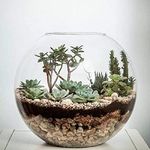 Glass Handmade XX Large fish bowl round Vase Terrarium 36 cm D Clear Transparent Planter