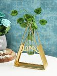 TIED RIBBONS 1 Pcs Propagation Station with Metal Holder Glass Test Tube Vase Pot for Flower Plants Home Decor Office Living Room Bedroom Table Balcony Decoration Items (Gold, 20.3 cm x 15.2 cm)