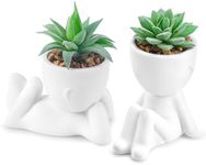 Der Rose Set of 2 Fake Plants Artificial Succulent Plants for Office Desk Accessories Bathroom Home Room Aesthetic Decor Indoor