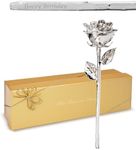Forever Rose Real Silver Dipped Ros