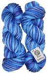 Yarn Oswal Wool | Blue Multi-Color | Acrylic Hand Knitting Soft Crochet Hook Yarn | Art & Craft Wool Ball (Weight in gm) (300 gm)