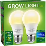 Light Bulb For Plants