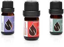 Set "Sweet Dreams" Essences Bulgari