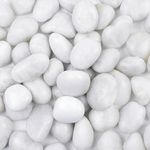 Casa Copenhagen Big White Polished River Rock Pebble/Stones (White,25 kg Polished) (2.5 cm - 4 cm) for Home Decoration, Aquarium/Fish Tank and Garden Polished River Rock Unplanted Substrate