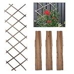 DIVCHI Wooden Trellis Expandable Garden Wall Trellis For Climbing Plants Decoration & Plants Partitioning (Pack Of 3) (180cm x 60cm) (Natural Wood)