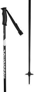 Rossignol 