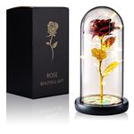 Qoosea Valentines Day for Girlfriend Women Beauty and The Beast Rose Forever Rose in Plastic Romantic Christmas Anniversary Valentine's Day Mother's Day Birthday - Red