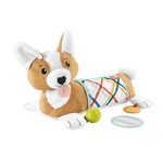 Fisher-Price Baby Tummy Time Toys, 3-in-1 Plush Puppy Wedge with BPA-Free Teether Rattle and Mirror Toys, HJW10