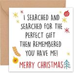 Felbridge Studio - Funny Christmas Card - Humorous Xmas Cards for Friends Husband Boyfriend Mum Dad Wife Girlfriend Partner Him Her Sister Brother Family Gay LGBT - Gift 2022-14cm