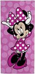 Jay Franco Disney Minnie Mouse Chee