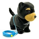 YH YUHUNG Walking and Barking Toy Dog with Remote Control Leash Puppy Interactive Dog Toys for Kids(Black)