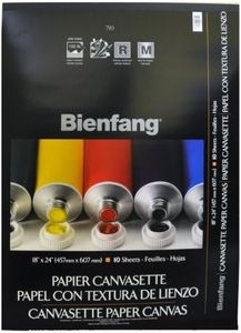 Bienfang Canvasette Paper, 10 Sheets, 18-Inch by 24-Inch