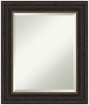 Framed Vanity Mirror | Bathroom Mirrors for Wall | Accent Bronze Mirror | Wall Mounted Mirror | Small Mirror | 25.00 x 21.00