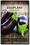 Sow Right Seeds - Black Beauty Eggplant Seed for Planting - Non-GMO Heirloom Packet with Instructions to Plant an Outdoor Home Vegetable Garden - Large Round Fruits, Deep Purple Variety (1)