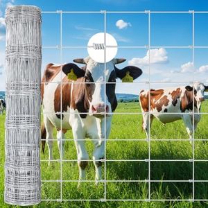 Cattle Fen