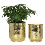 MyGift Vintage Hammered Brass-Tone Metal Planter Pot Indoor Plant Container, Decorative Cylindrical Succulent Planters, Set of 2 - Handcrafted in India