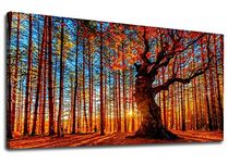 Forest Sunset Wall Art Landscape Canvas Pictures Big Tree Canvas Pictures Contemporary Wall Art Modern Nature Canvas Artwork Large Wall Pictures for Living Room Bedroom Office Wall Decor 60 x 120 cm