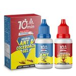 Amish Combo Pack Of Eco- Friendly Ant Gel 20g With Amish-C Cockroach Gel 30g For Home Kitchen Ants & Cockroach | Instant Results For Insect Control